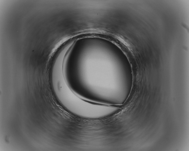X0000096671310200802191320