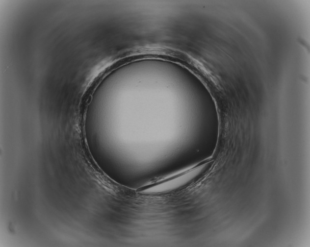 X0000096671312200802191320