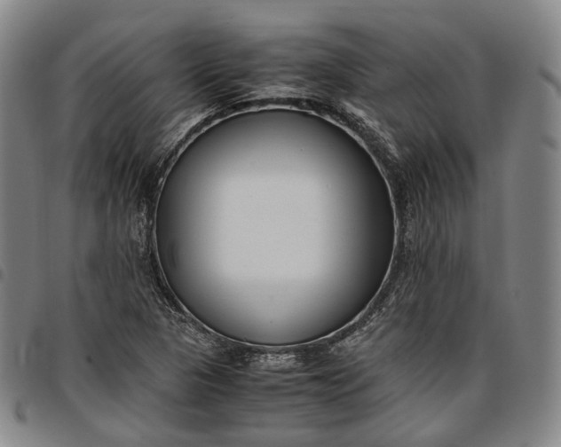 X0000096671313200802191320