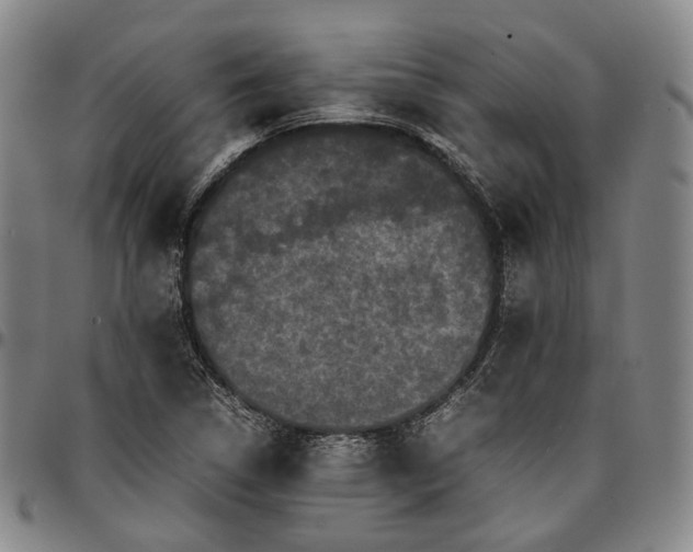 X0000096671314200802191320