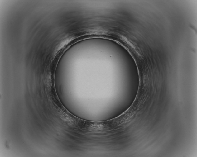 X0000096671315200802191320