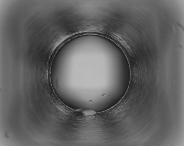 X0000096671316200802191320