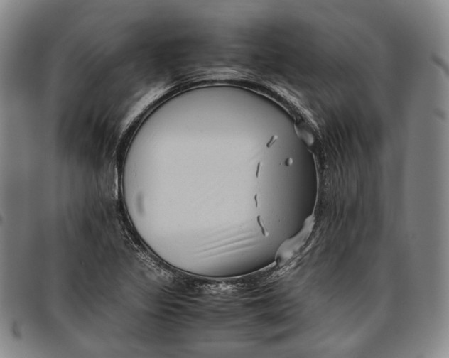 X0000096671317200802191320