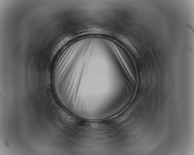 X0000096671318200802191320
