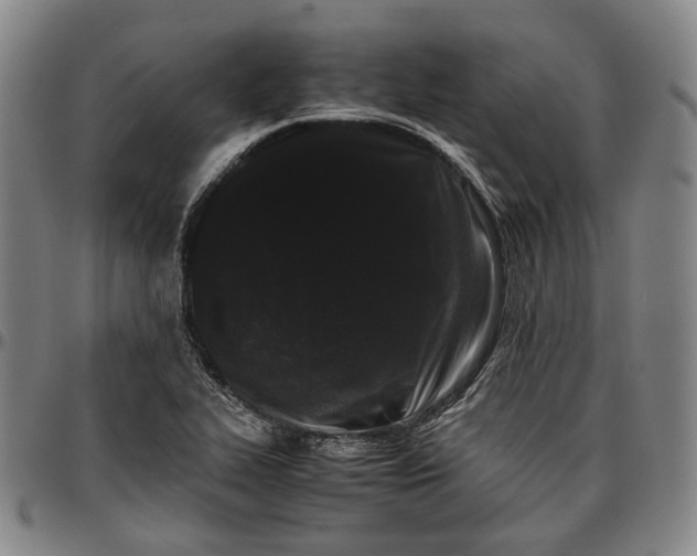 X0000096671319200802191321