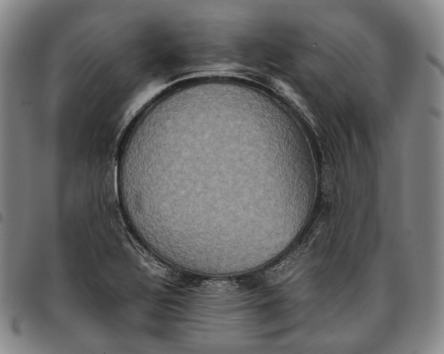 X0000096671320200802191321
