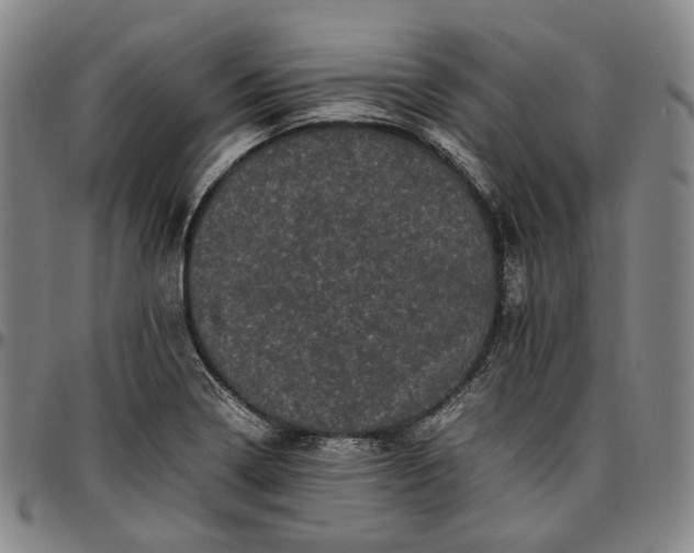 X0000096671322200802191321