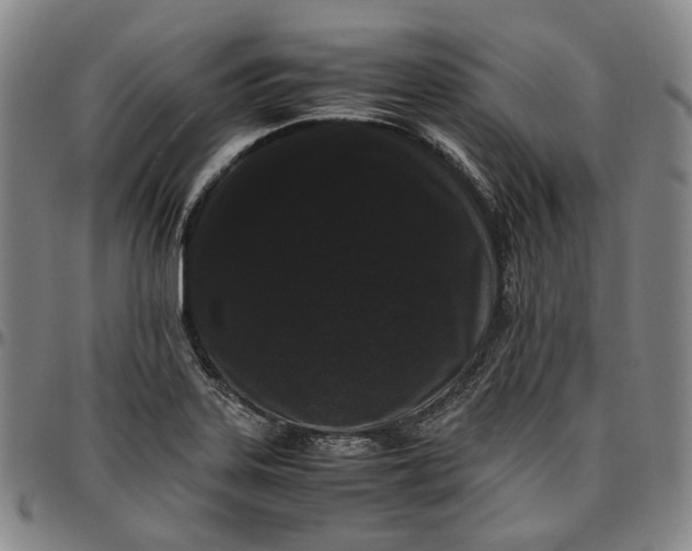 X0000096671323200802191321