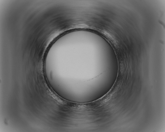 X0000096671326200802191321