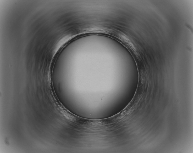 X0000096671328200802191321