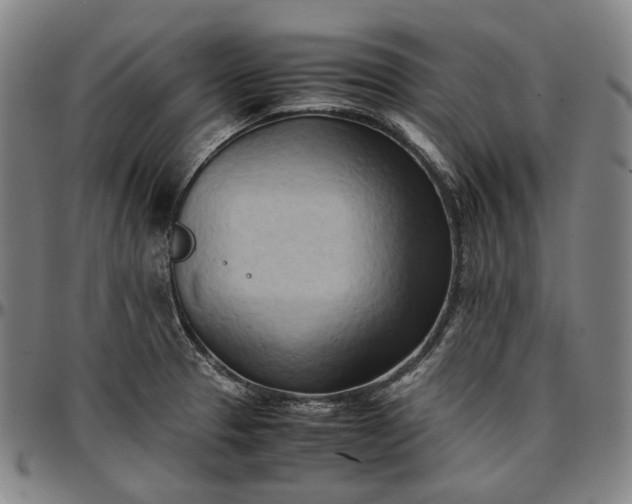 X0000096671329200802191321