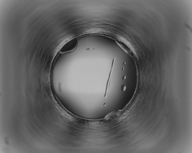 X0000096671330200802191321