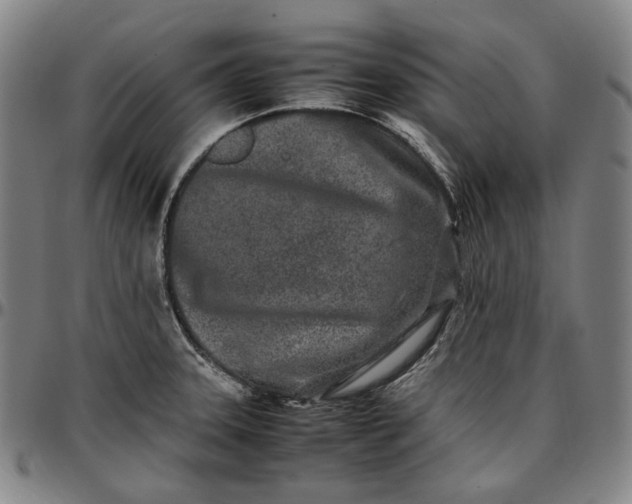X0000096671331200802191321