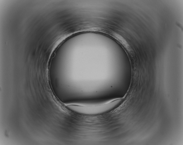 X0000096671332200802191321