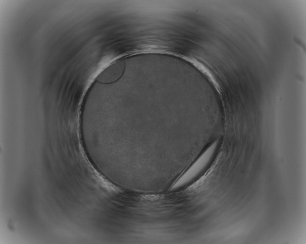 X0000096671333200802191321