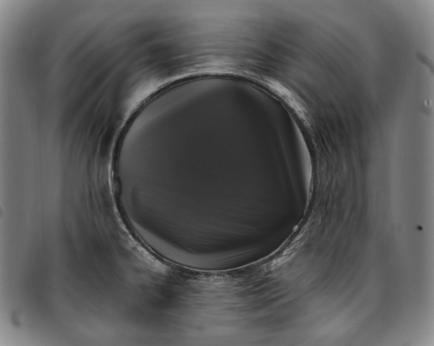 X0000096671334200802191321