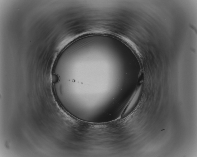 X0000096671335200802191321