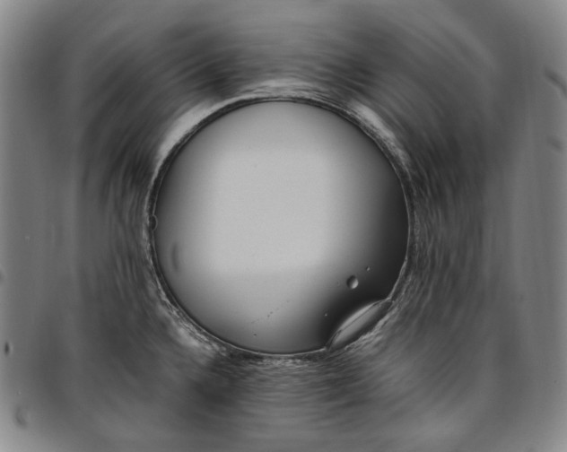 X0000096671336200802191321