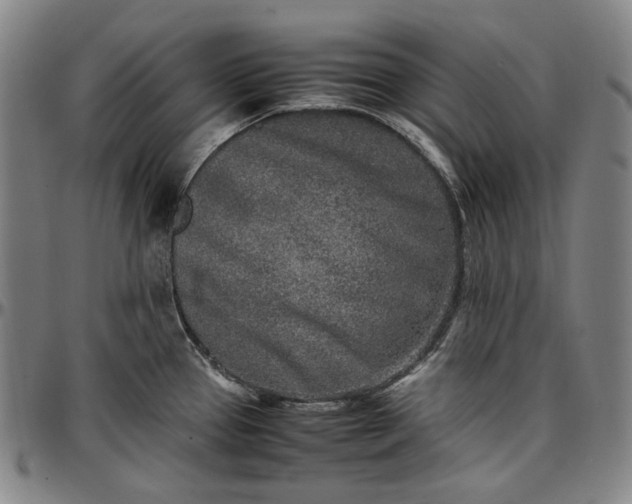 X0000096671337200802191321