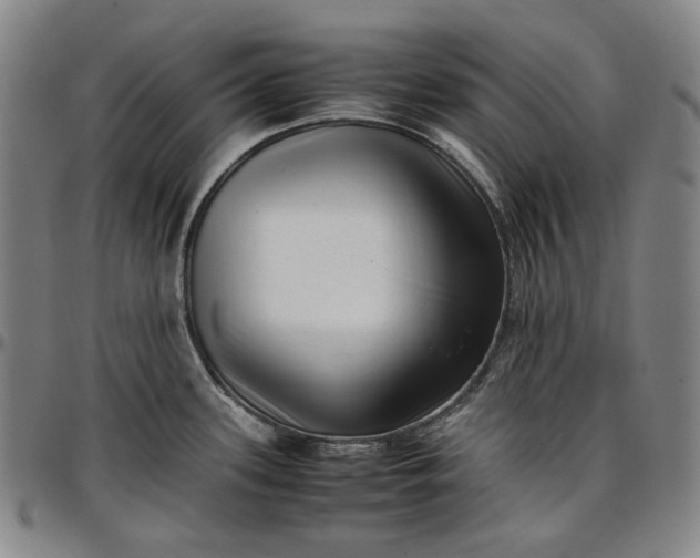X0000096671339200802191321