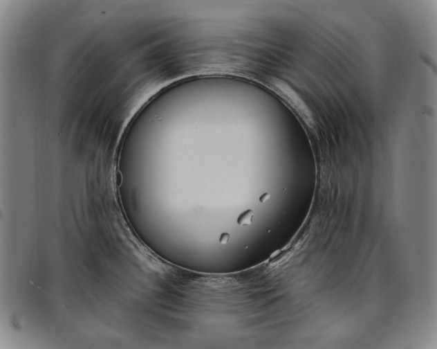 X0000096671340200802191321