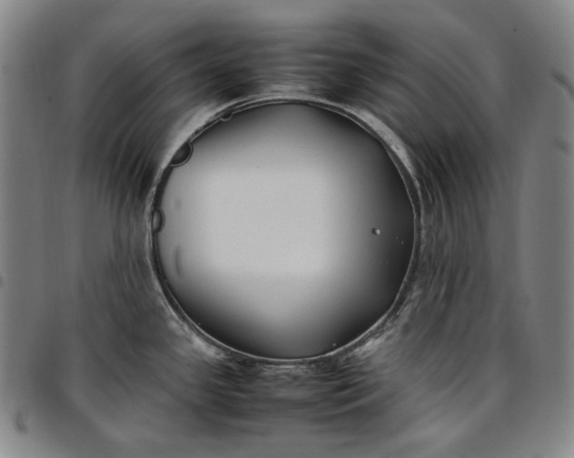 X0000096671341200802191321