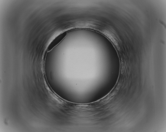 X0000096671342200802191321