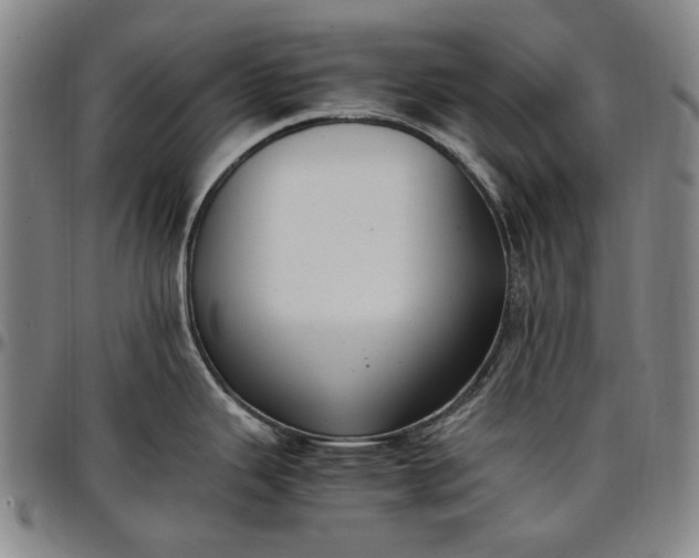X0000096671343200802191321