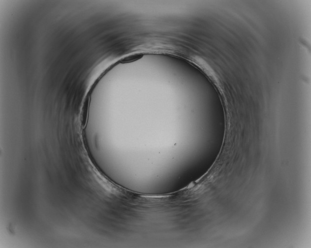 X0000096671344200802191321