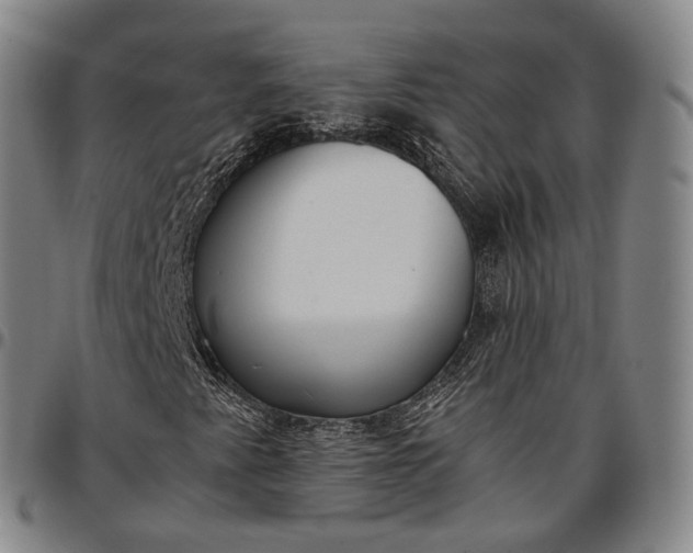 X0000096671345200802191320