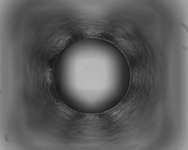 X0000096671346200802191320