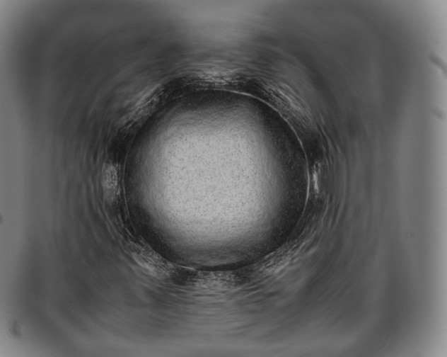 X0000096671347200802191320