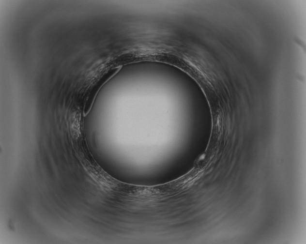 X0000096671348200802191320