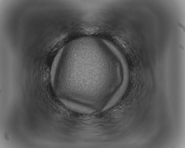 X0000096671349200802191320