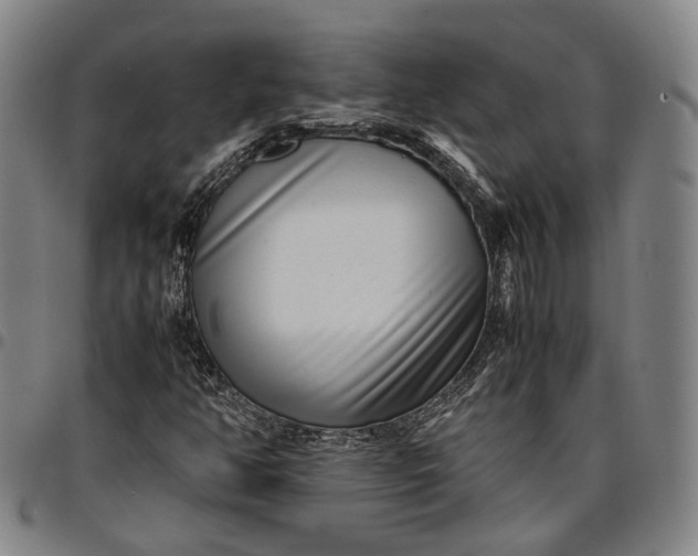 X0000096671350200802191320
