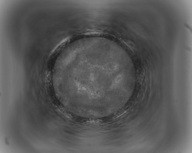 X0000096671351200802191320