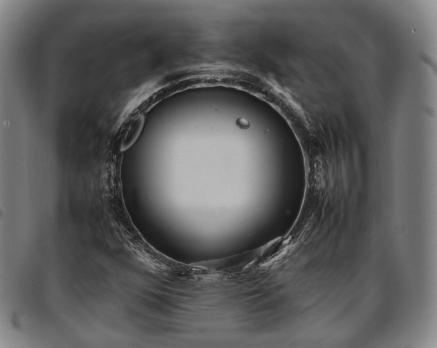 X0000096671352200802191320