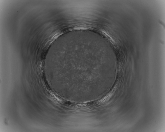 X0000096671353200802191320