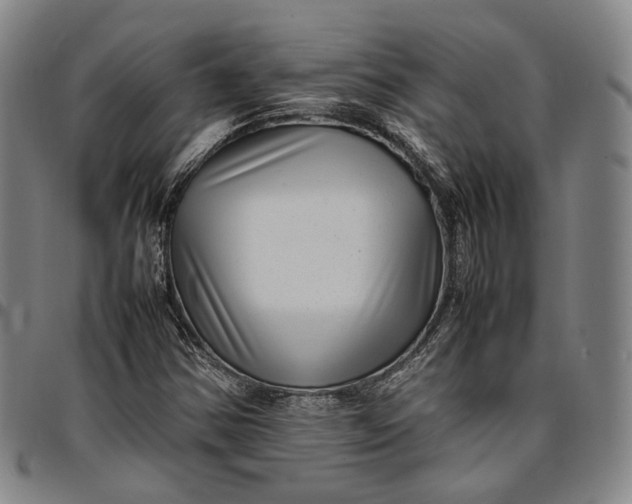 X0000096671354200802191320