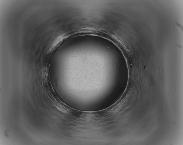 X0000096671355200802191320