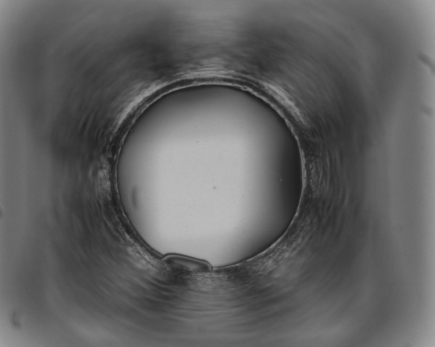 X0000096671356200802191320