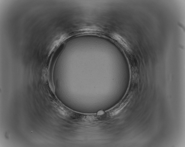 X0000096671357200802191320