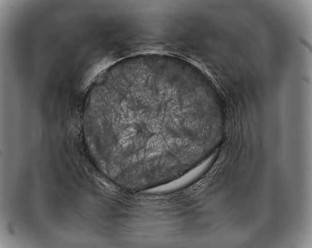 X0000096671359200802191320