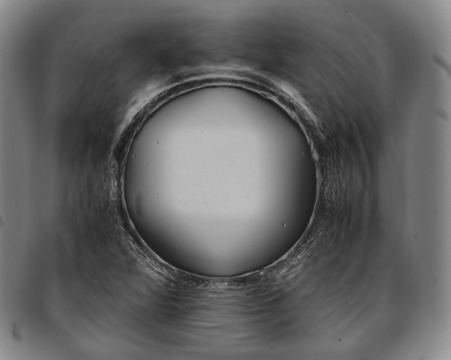 X0000096671360200802191320