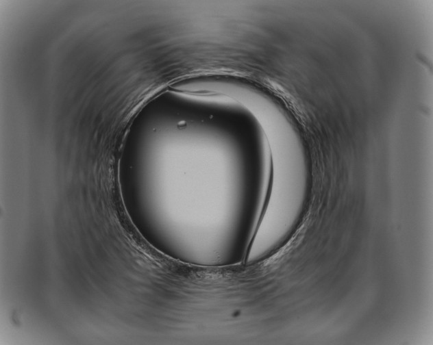 X0000096671361200802191320