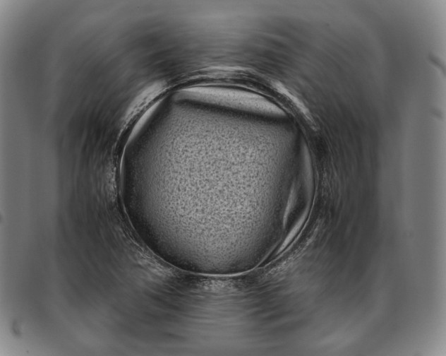X0000096671362200802191320
