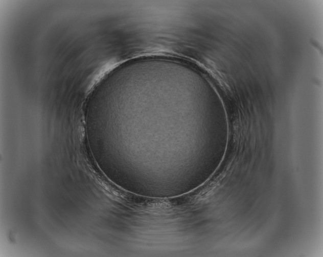 X0000096671363200802191320