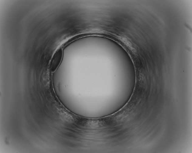 X0000096671364200802191320