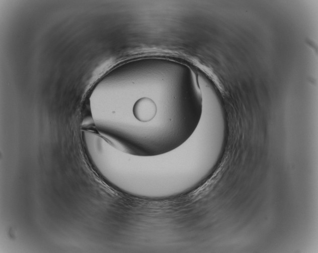 X0000096671365200802191320