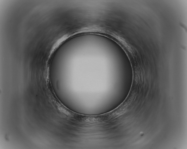 X0000096671366200802191320